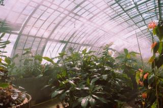 Crazy Boat Halloween Paris – Croisière buffet open bar